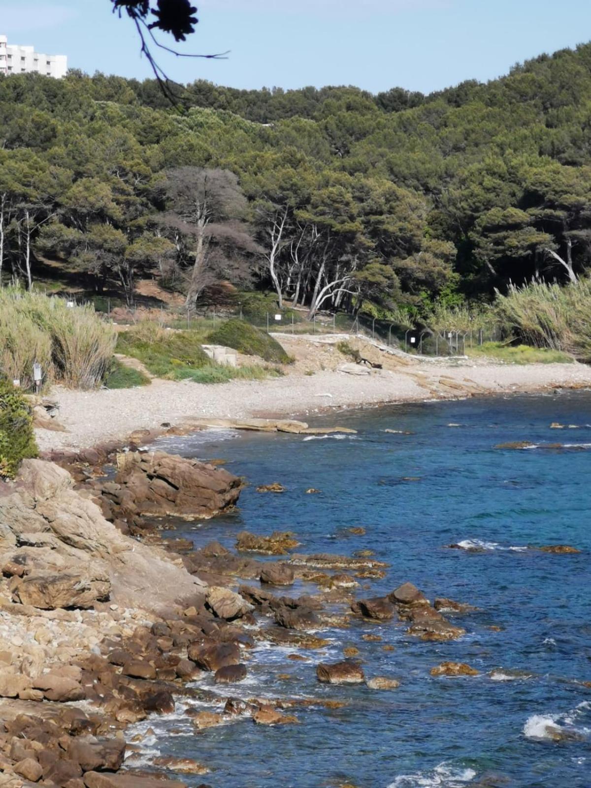 Petit Paradis - St Mandrier Village Saint-Mandrier-sur-Mer Exteriér fotografie
